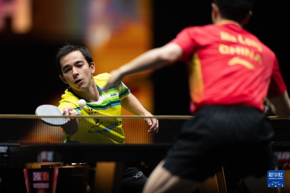 他们的赛季 他们的赛季