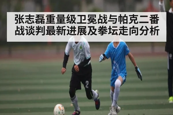 张志磊重量级卫冕战与帕克二番战谈判最新进展及拳坛走向分析